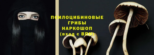 круглые Алзамай