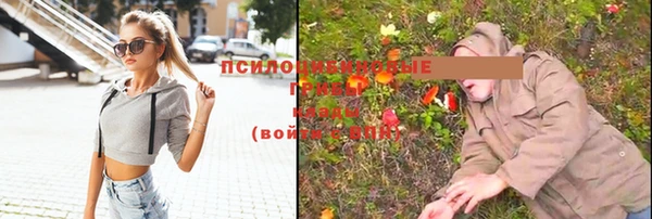 круглые Алзамай