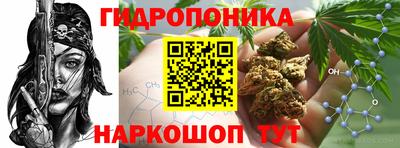 трава Нальчик